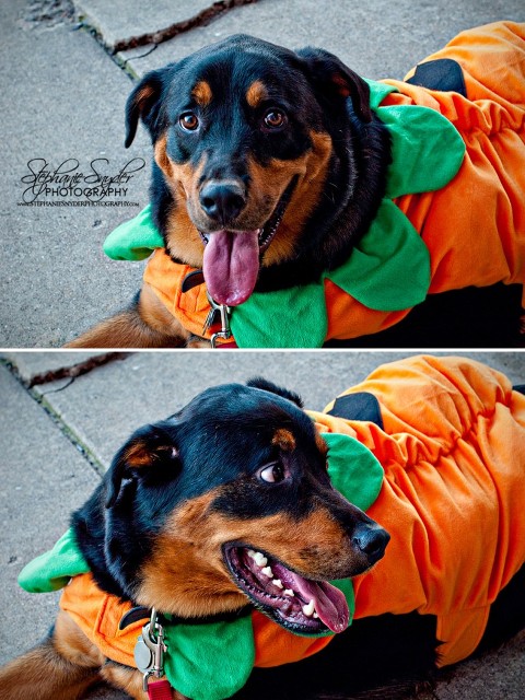 Halloween-October-31,-2009-1260-Edit