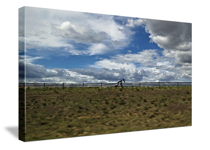 Custom Gallery Prints from Stephanie Snyder Photography