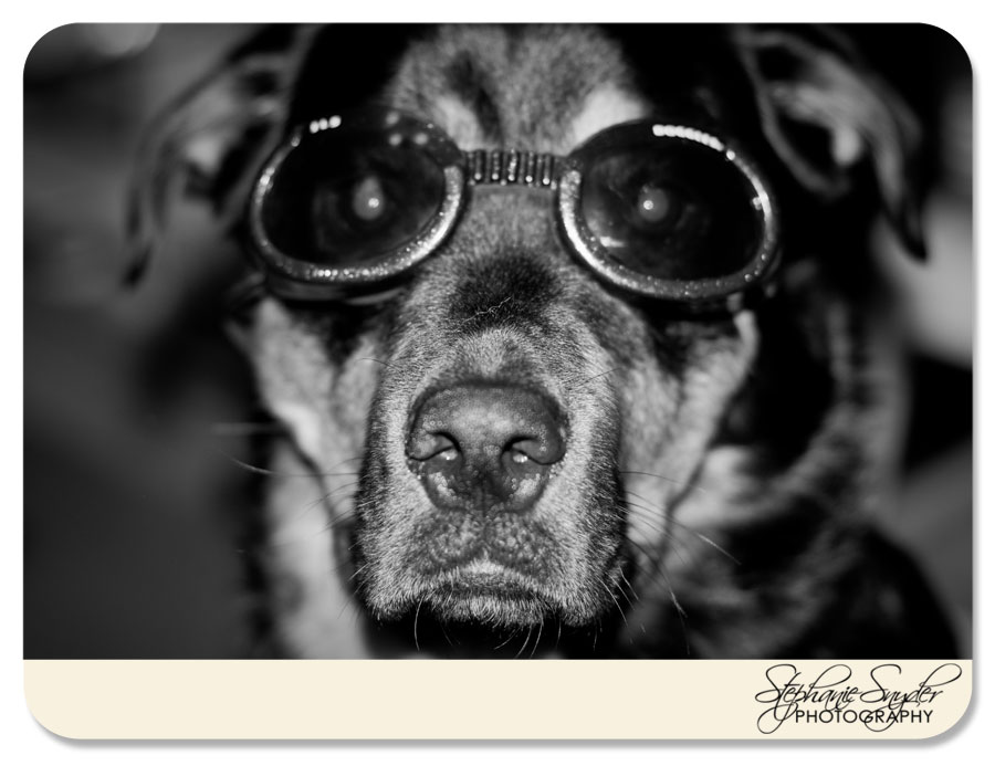 SC Photographer Stephanie Snyder