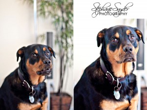 Dexter's expression here is priceless. It's of utter disdain. LOL.