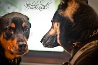 SC-Photographer-Valentines-6468