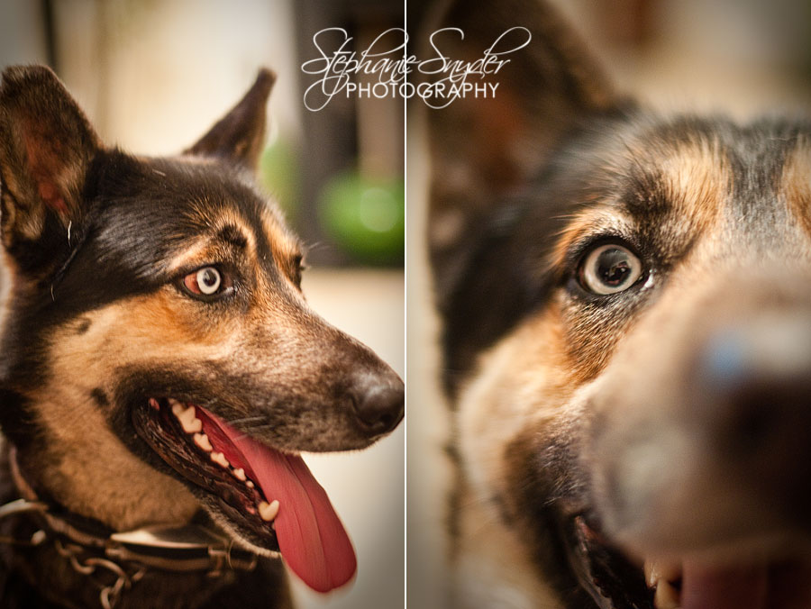 SC-Photographer-Valentines-6523 SC-Photographer-Valentines-6523