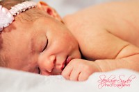 SC Newborn Photography