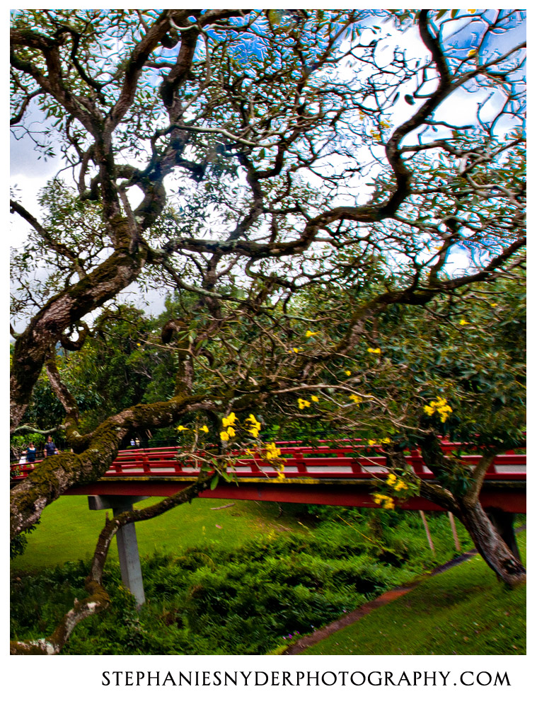 Hawaiin-Honeymoon-March-26,-2010-1139-Edit