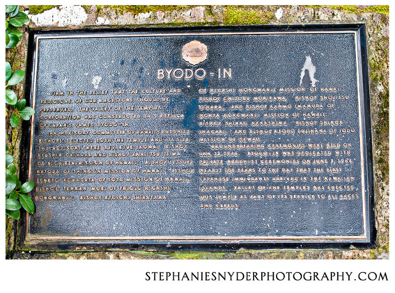 SC Photographer Stephanie Snyder