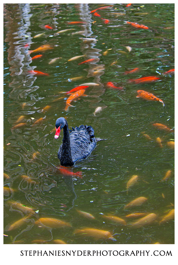 Hawaiin-Honeymoon-March-26,-2010-1564-Edit