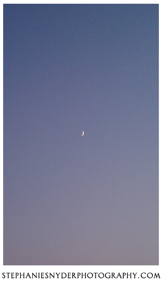 IMAG0157