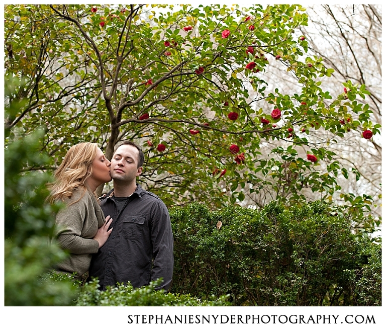 Fiances kissing underneath a rose tree during engagement photography session