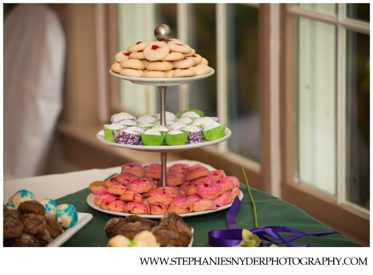 Winchester VA Wedding Photographer Stephanie Snyder_0058