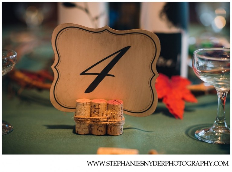 Winchester VA Wedding Photographer Stephanie Snyder_0068