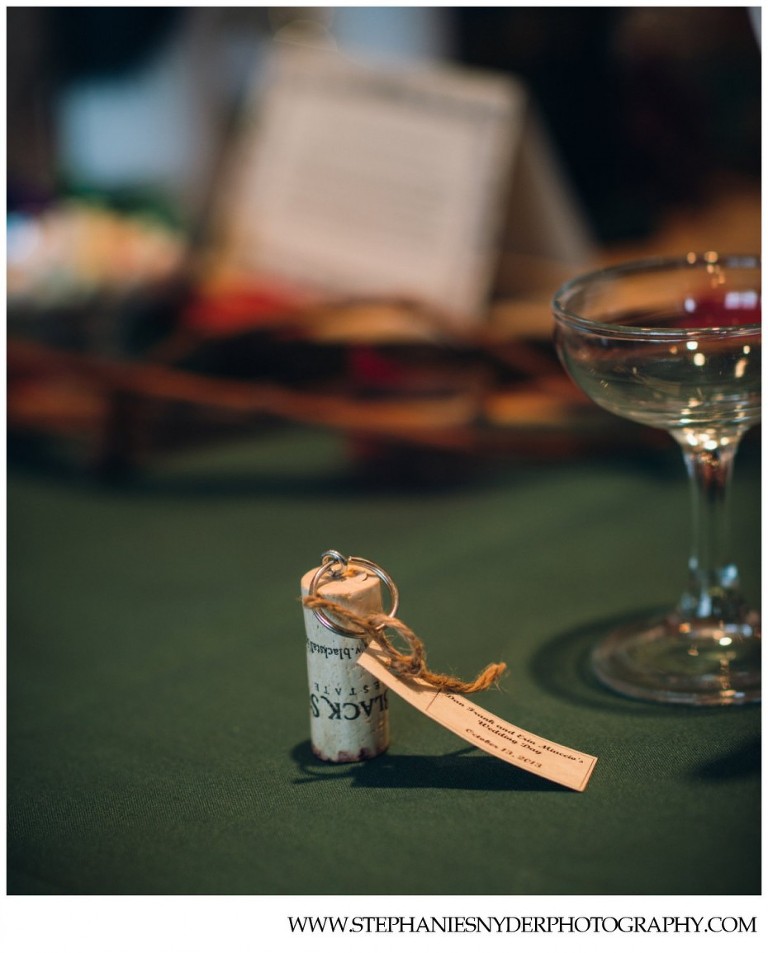 Winchester VA Wedding Photographer Stephanie Snyder_0069