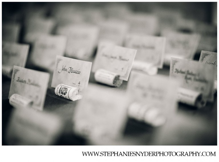 Winchester VA Wedding Photographer Stephanie Snyder_0070