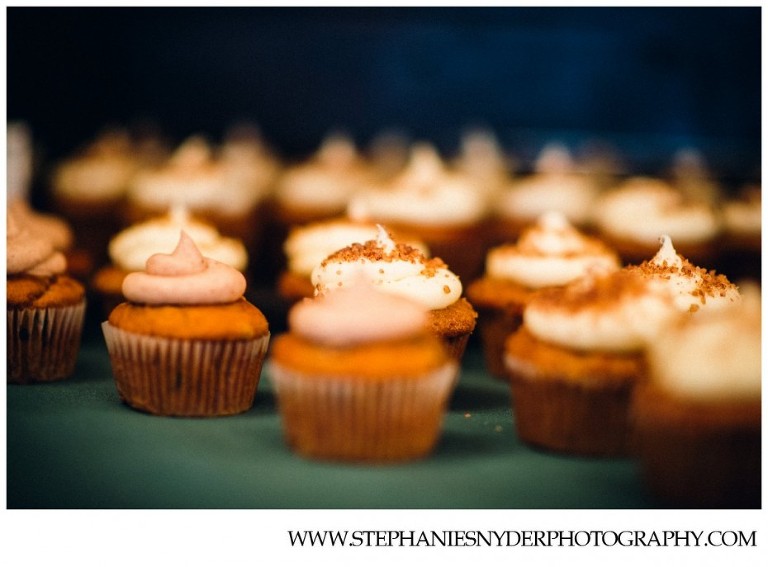 Winchester VA Wedding Photographer Stephanie Snyder_0073