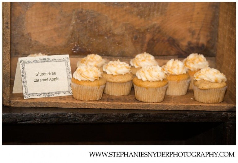 Winchester VA Wedding Photographer Stephanie Snyder_0077