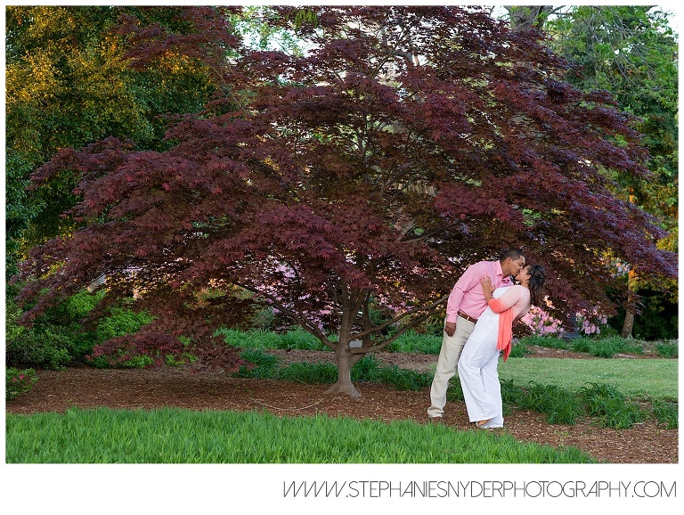 2014-04-12 - Engagement - Taneshia and Anton 8333_SC Wedding Photographer